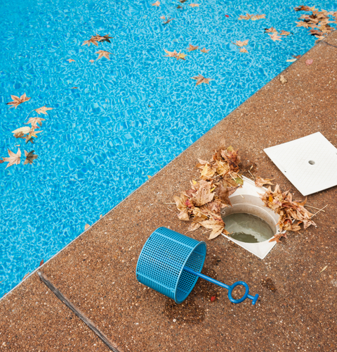 Eau de piscine verte ramasser les plus gros débris