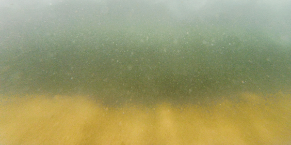 une eau trouble turbidité